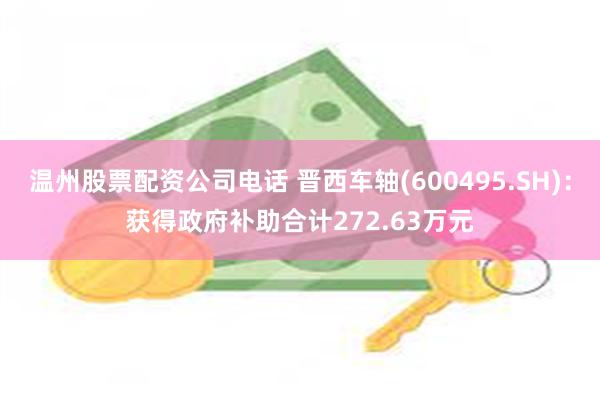 温州股票配资公司电话 晋西车轴(600495.SH)：获得政府补助合计272.63万元