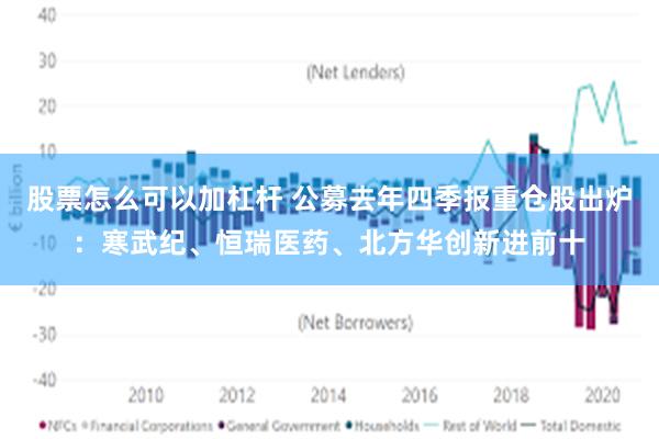 股票怎么可以加杠杆 公募去年四季报重仓股出炉：寒武纪、恒瑞医药、北方华创新进前十