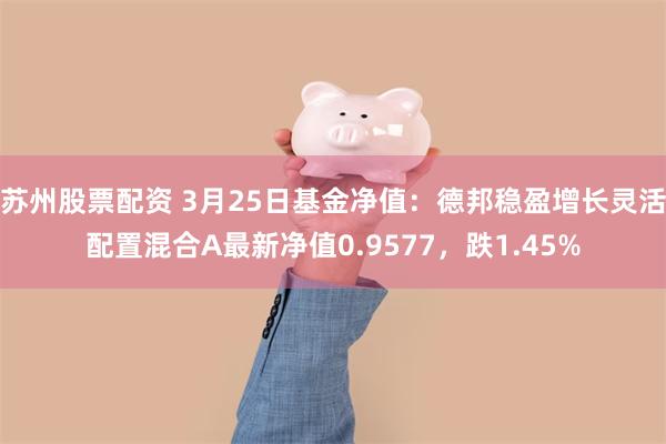 苏州股票配资 3月25日基金净值：德邦稳盈增长灵活配置混合A最新净值0.9577，跌1.45%