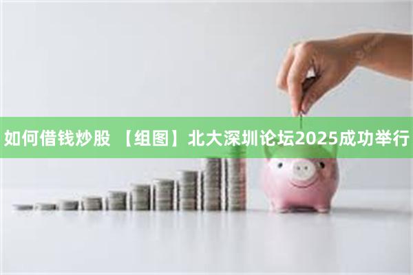 如何借钱炒股 【组图】北大深圳论坛2025成功举行