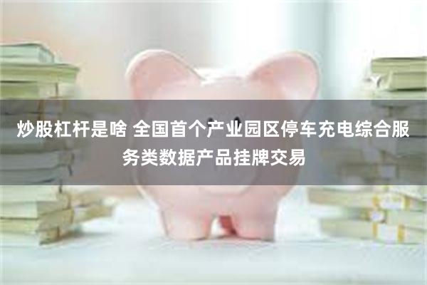 炒股杠杆是啥 全国首个产业园区停车充电综合服务类数据产品挂牌交易