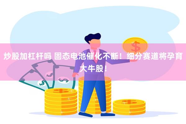 炒股加杠杆吗 固态电池催化不断！细分赛道将孕育大牛股！