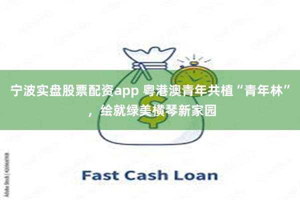 宁波实盘股票配资app 粤港澳青年共植“青年林” ，绘就绿美横琴新家园