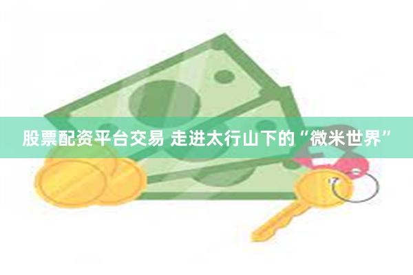 股票配资平台交易 走进太行山下的“微米世界”