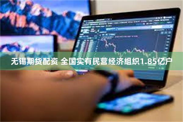 无锡期货配资 全国实有民营经济组织1.85亿户