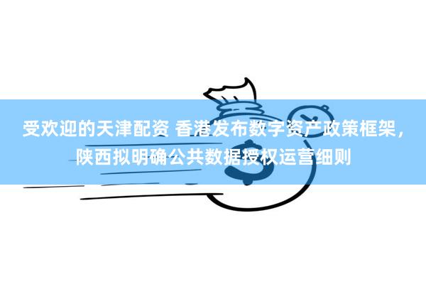 受欢迎的天津配资 香港发布数字资产政策框架，陕西拟明确公共数据授权运营细则