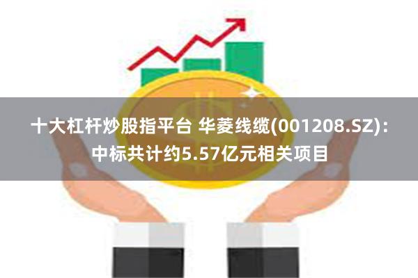 十大杠杆炒股指平台 华菱线缆(001208.SZ)：中标共计约5.57亿元相关项目