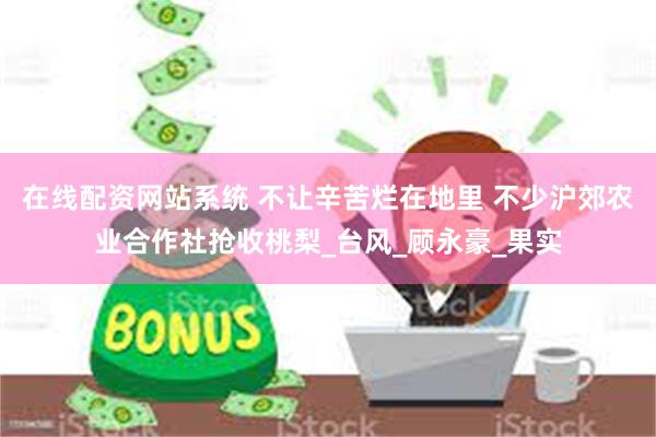 在线配资网站系统 不让辛苦烂在地里 不少沪郊农业合作社抢收桃梨_台风_顾永豪_果实