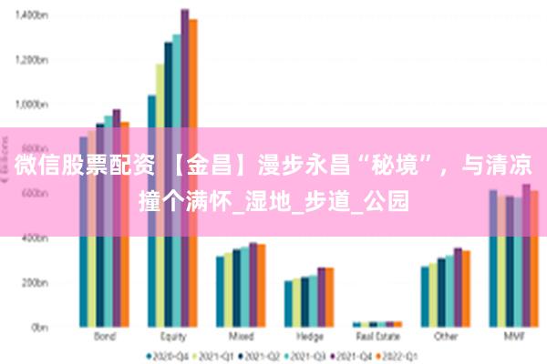 微信股票配资 【金昌】漫步永昌“秘境”，与清凉撞个满怀_湿地_步道_公园