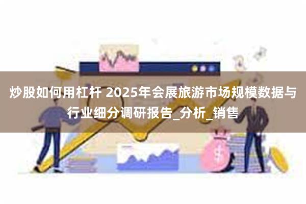 炒股如何用杠杆 2025年会展旅游市场规模数据与行业细分调研报告_分析_销售