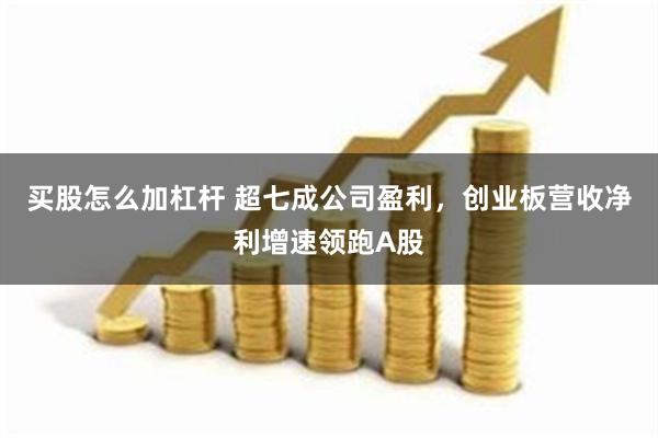 买股怎么加杠杆 超七成公司盈利,创业板营收净利增速领跑A股